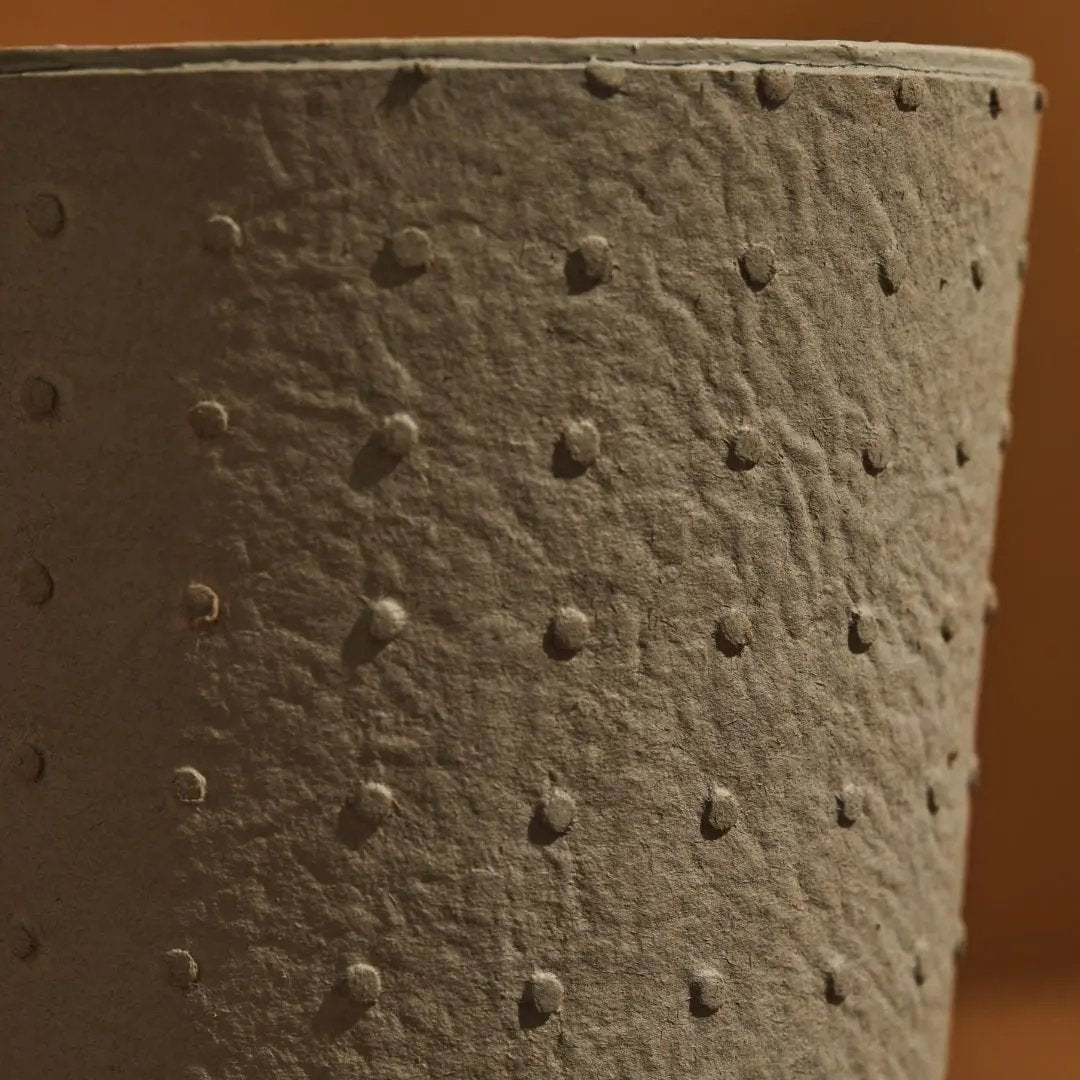 Tree Stripes Conical Pot Dotty - Sage Green (Small) Deals499