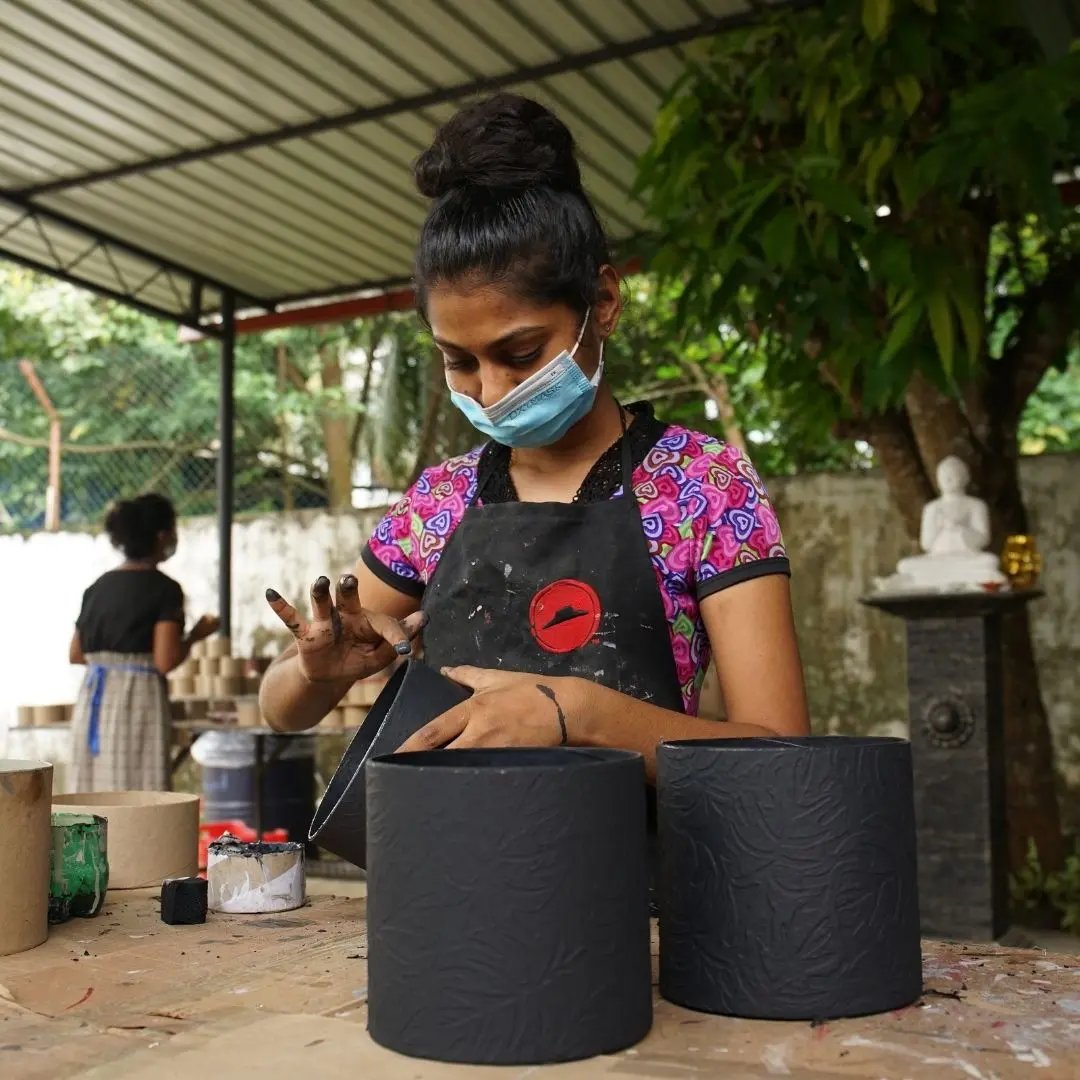 Tree Stripes Cylinder Pot Monstera - Black (Extra Large) Deals499