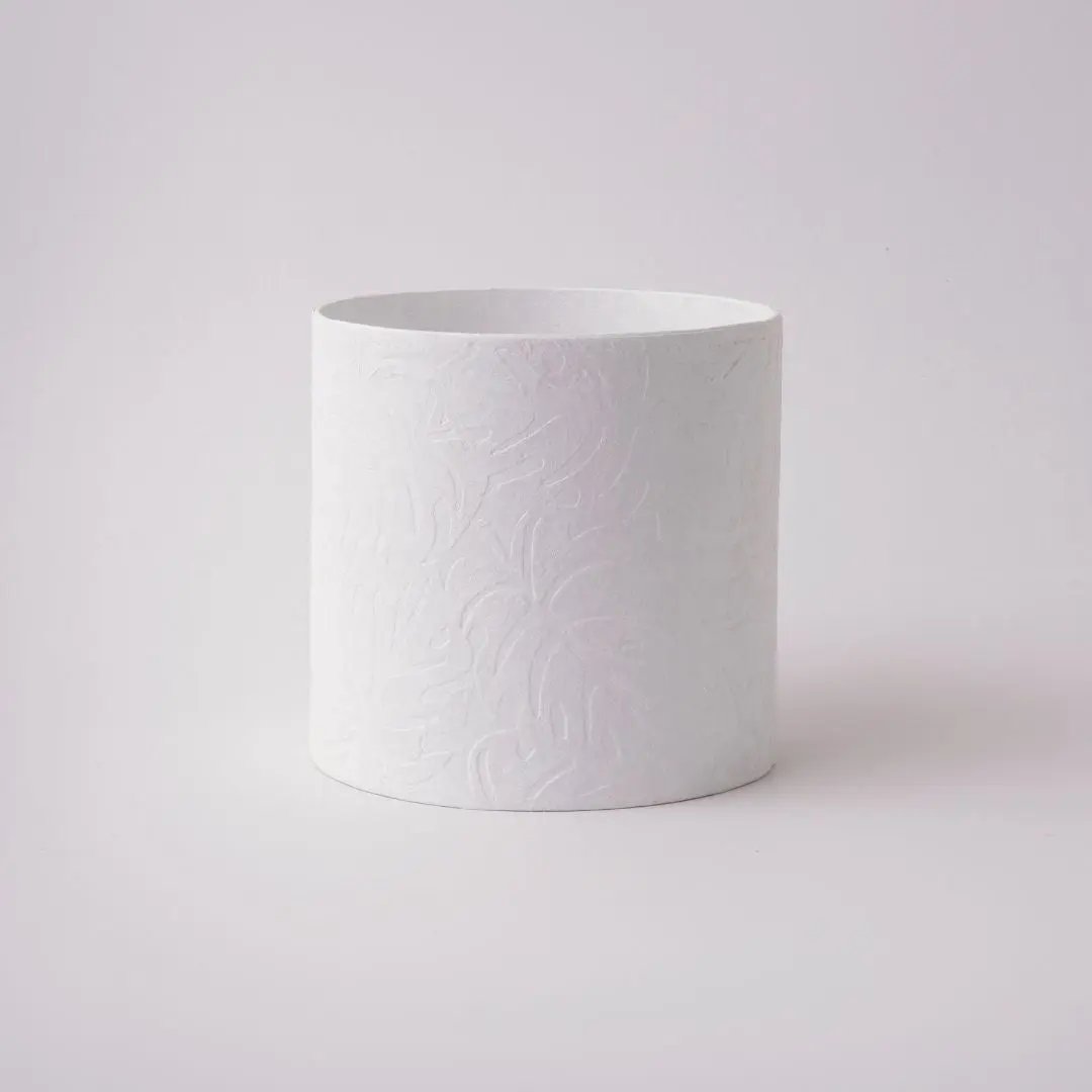 Tree Stripes Cylinder Pot Monstera - White (Medium) Deals499