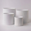 Tree Stripes Cylinder Pot Monstera - White (Medium) Deals499