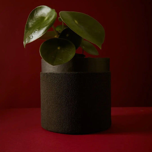 Tree Stripes Sand Coated Collar Pot in Sandshell (Small) Deals499