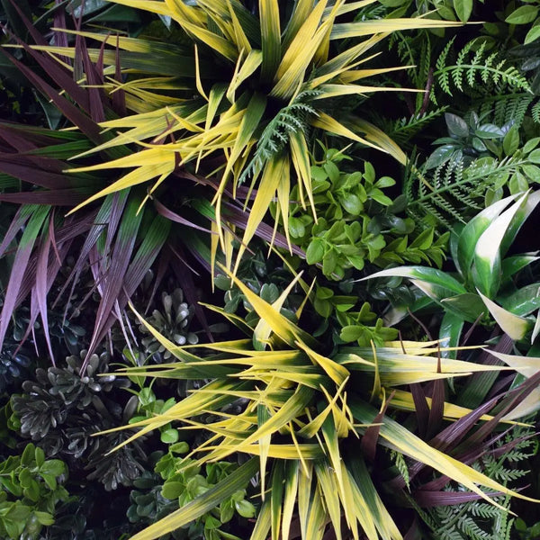 UV Green Fields Green Wall Disc 60cm Deals499