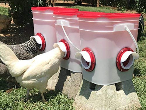 Cheecky Chooka DIY Poultry Feeder Port 4pk Deals499