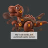4PCS Take Apart Dinosaur Drill Kids Learning Construction Building Toys Gift Deals499