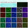 LED Galaxy Starry Night Light Projector Ocean Star Sky Party Baby Kids Room Lamp Deals499