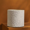 Tree Stripes Cylinder Pot Monstera - White (Small) Deals499