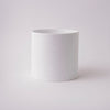 Tree Stripes Cylinder Pot Monstera - White (Large) Deals499