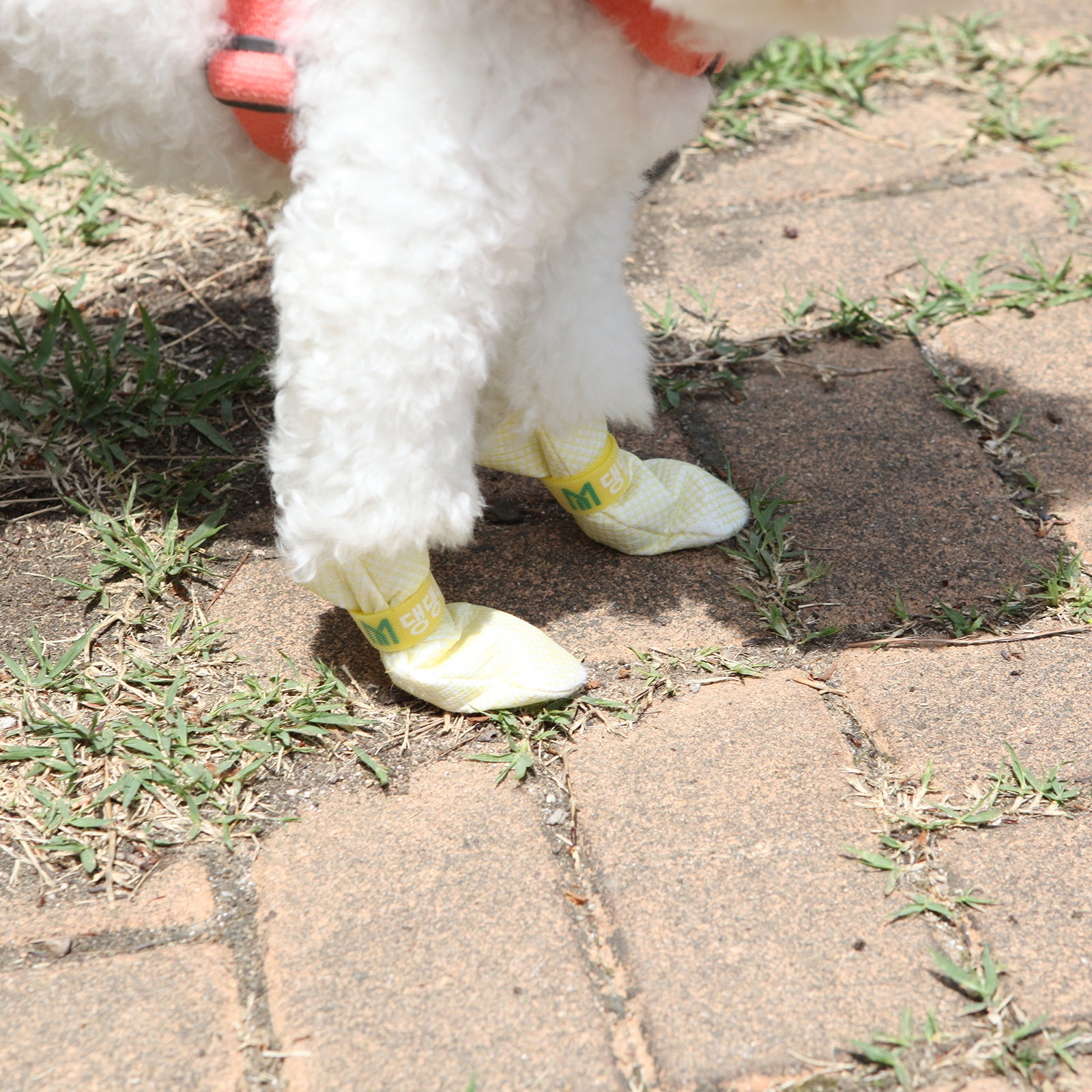 Daeng Daeng Shoes 28pc XS Yellow Dog Shoes Waterproof Disposable Boots Anti-Slip Socks Deals499
