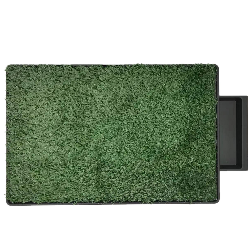 XL Indoor Dog Puppy Toilet Grass Potty Training Mat Loo Pad pad with 1 grass Deals499