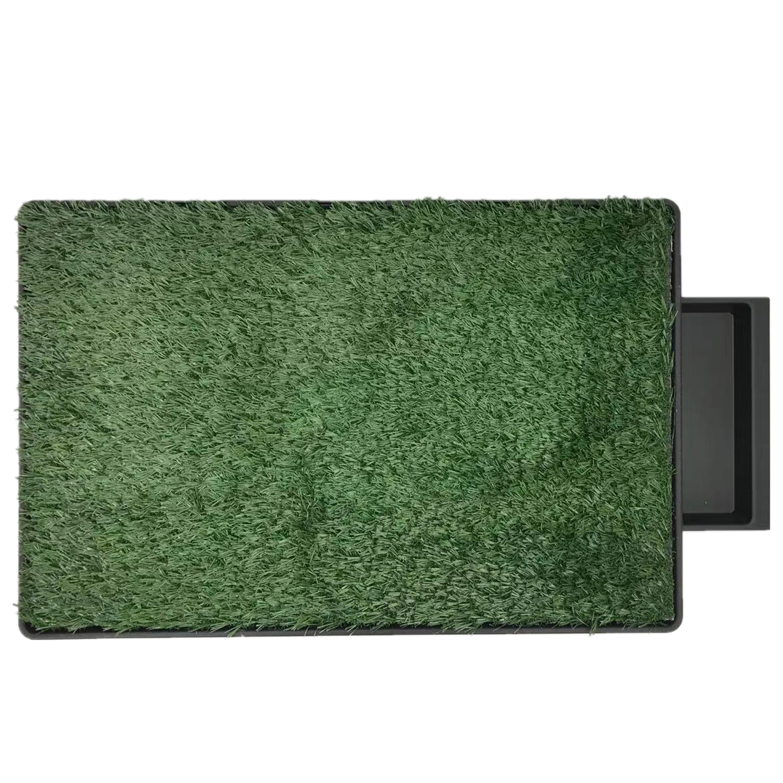 XL Indoor Dog Puppy Toilet Grass Potty Training Mat Loo Pad pad with 2 grass Deals499