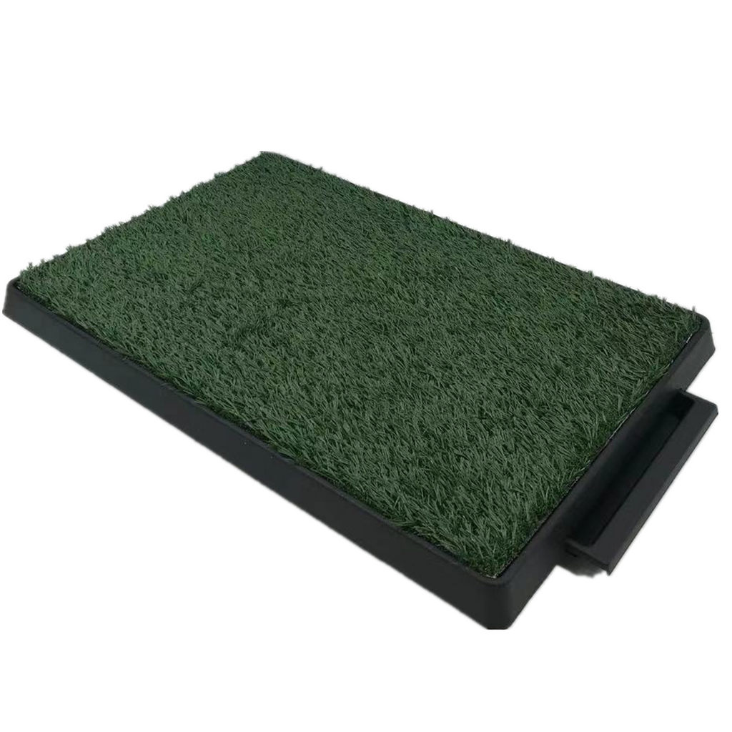 XL Indoor Dog Puppy Toilet Grass Potty Training Mat Loo Pad pad with 3 grass Deals499