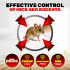 SAS Pest Control 96PCE Mice Rodent Traps Poison Free Non-Toxic 13.5 x 17.5cm Deals499