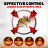 SAS Pest Control 48PCE Mice Rat Traps Peanut Scented Poison Free Non-Toxic Deals499