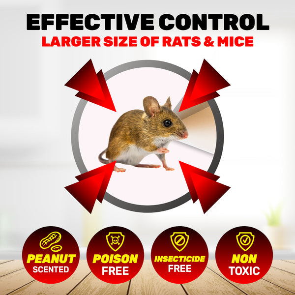 SAS Pest Control 48PCE Mice Rat Traps Peanut Scented Poison Free Non-Toxic Deals499