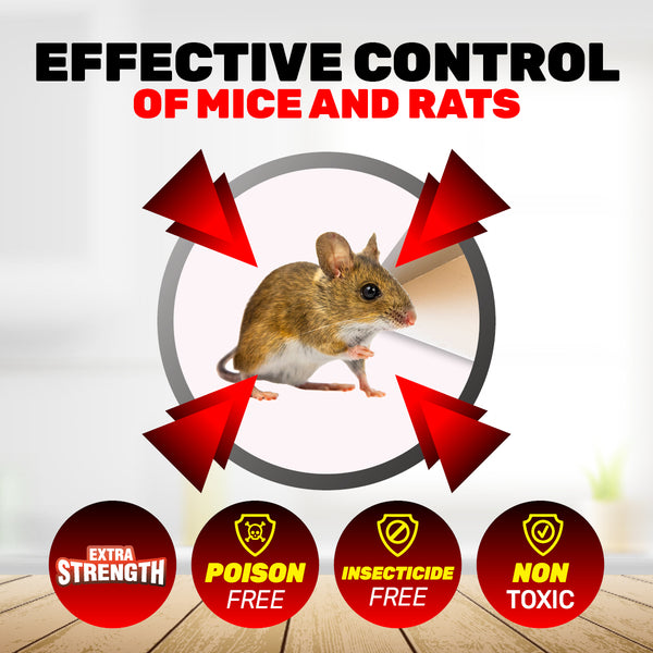 SAS Pest Control 48PCE Rat Mice Tunnel Traps Non-Toxic Effective 80 x 150mm Deals499