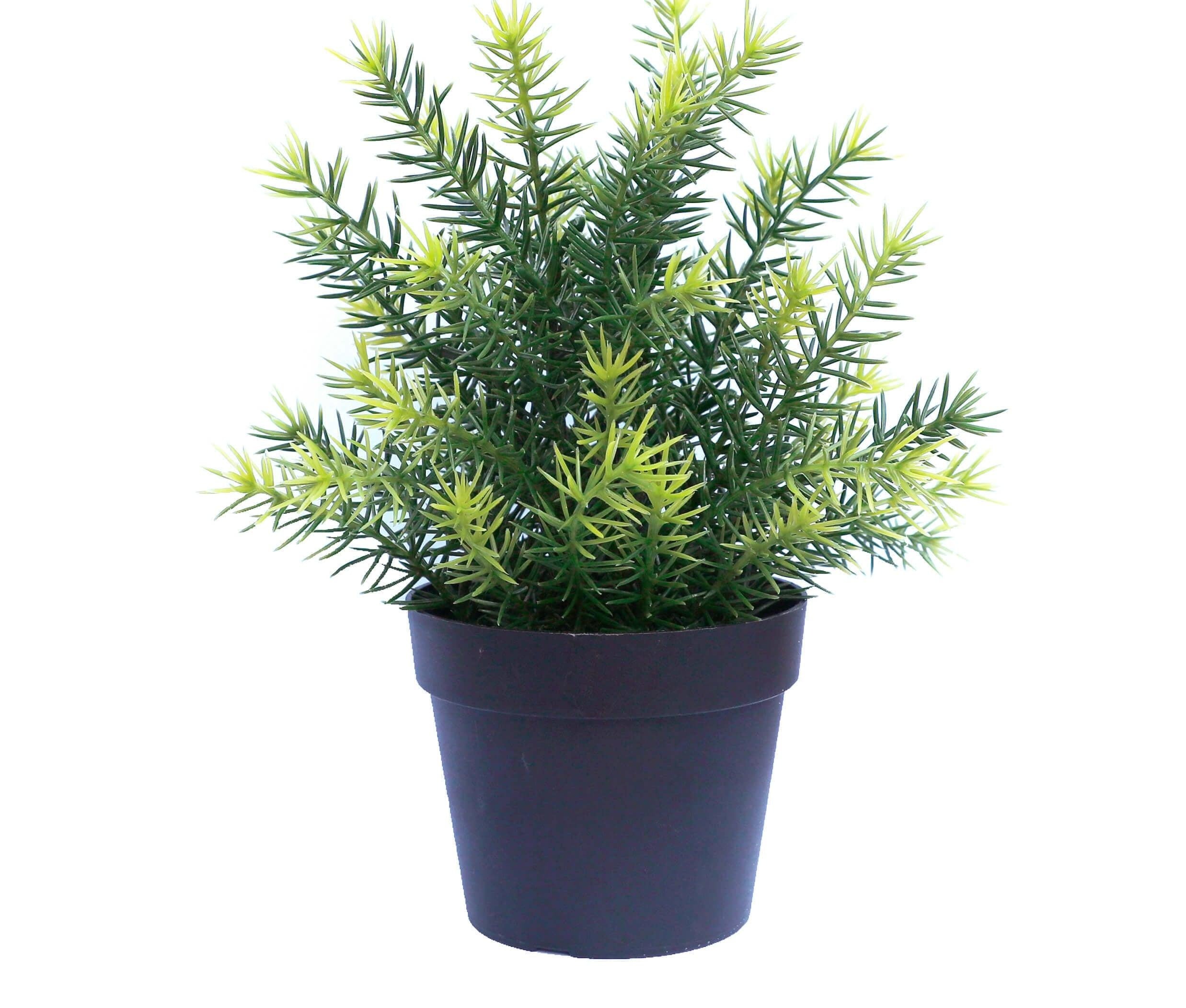 Small Potted Artificial Native Grass Plant UV Resistant 20cm Deals499