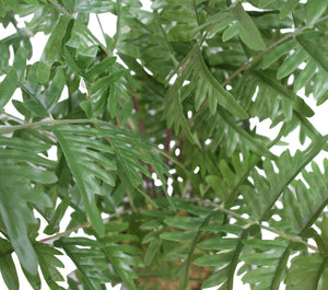 Artificial Mountain Palm 90cm Deals499