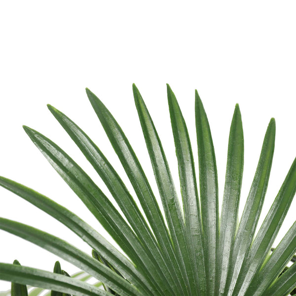 Artificial Wide Leaf Fan Palm Tree 90cm Deals499