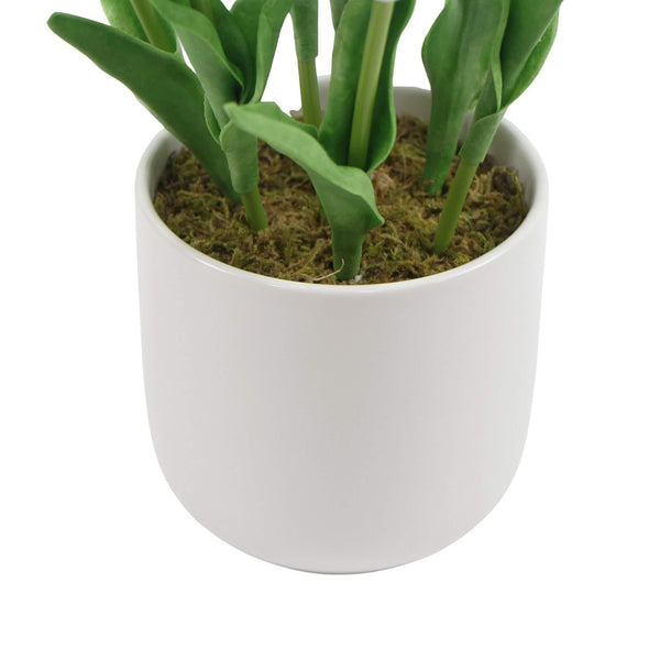 Flowering White Artificial Tulip Plant Arrangement With Ceramic Bowl 35cm Deals499