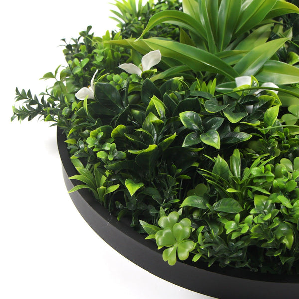 Flowering White Artificial Green Wall Disc UV Resistant 75cm (Black Frame) Deals499