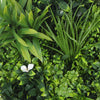 Flowering White Artificial Green Wall Disc UV Resistant 100cm (White Frame) Deals499