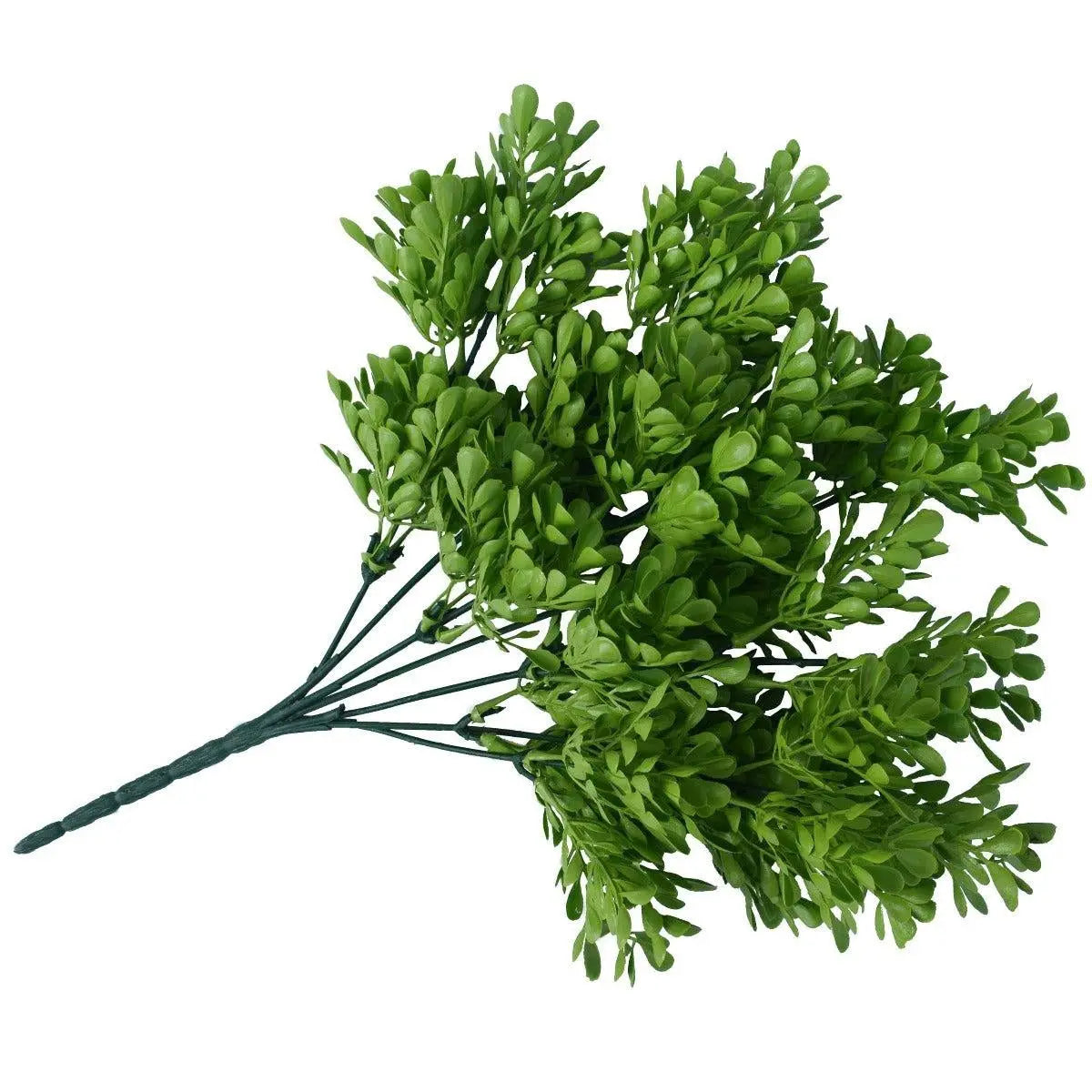 Vivid Green Wide Eucalypts Plant 32cm UV Resistant Deals499