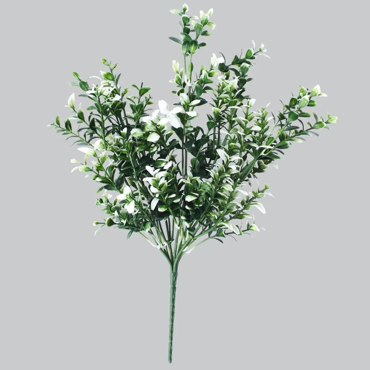 White Tipped Money Leaf Stem 32 cm Deals499