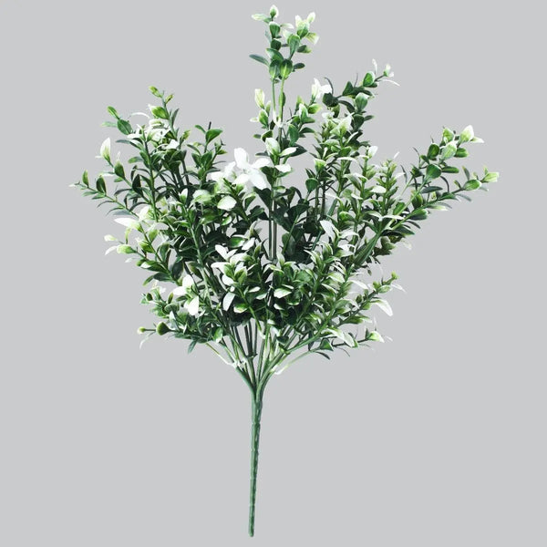 White Tipped Money Leaf Stem 32 cm Deals499
