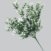 White Tipped Money Leaf Stem 32 cm Deals499