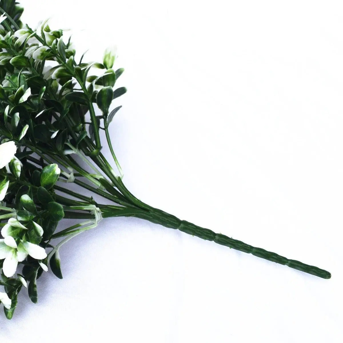 White Tipped Money Leaf Stem 32 cm Deals499