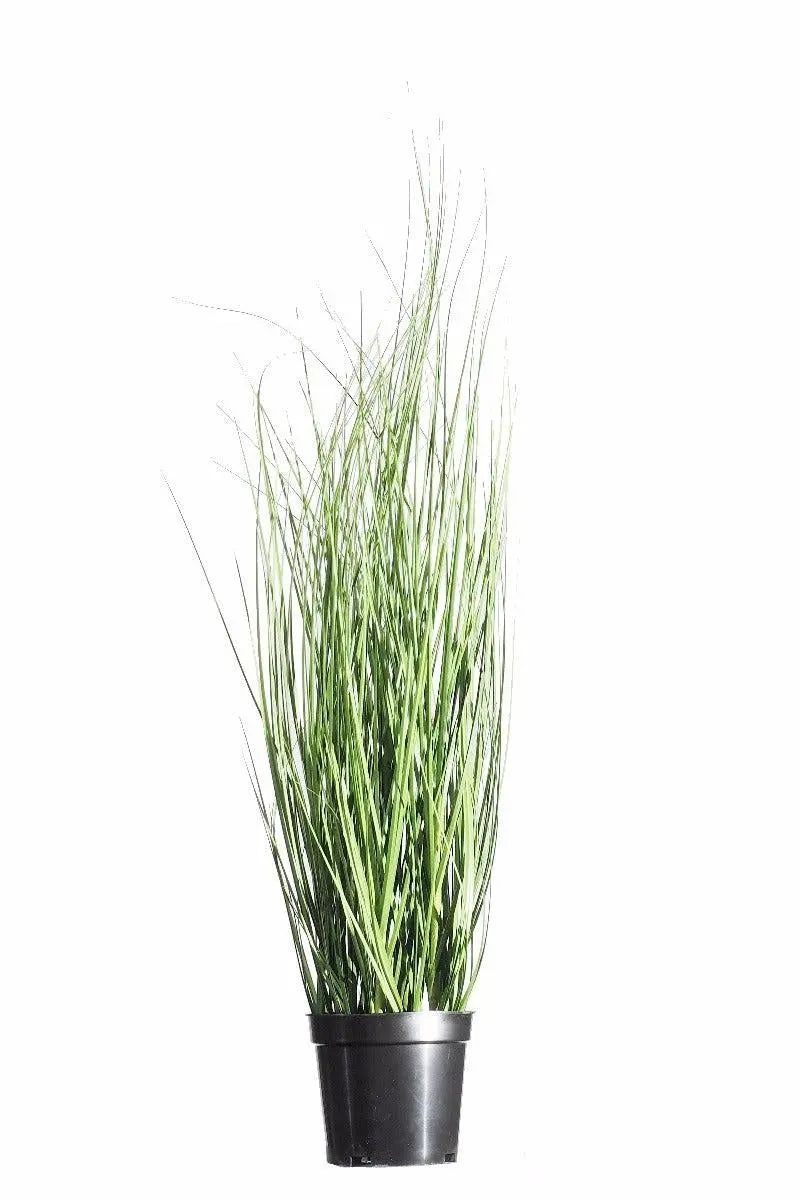 Wild Artificial Grass Plant 70cm Deals499