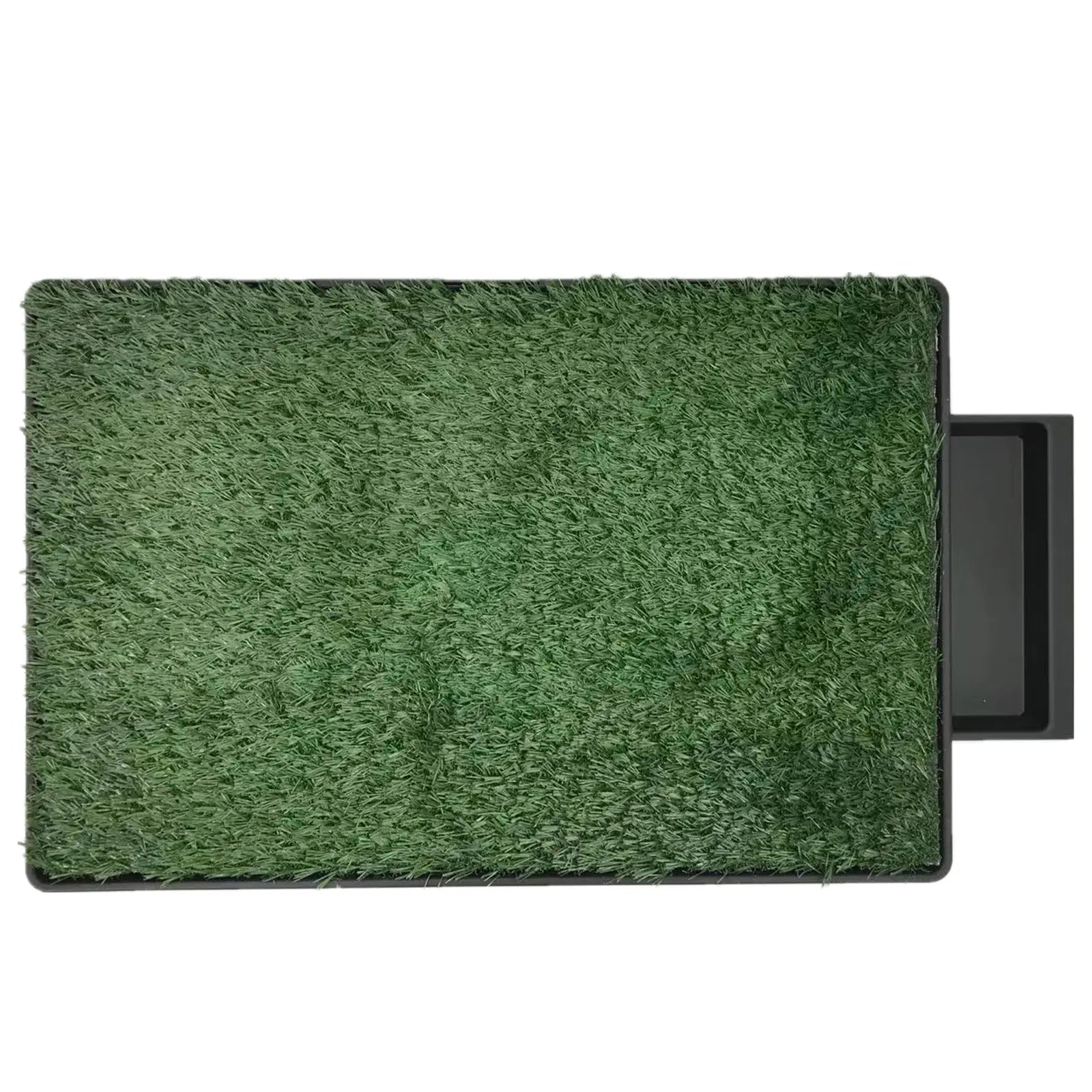 XL Indoor Dog Puppy Toilet Grass Potty Training Mat Loo Pad pad with 2 grass Deals499