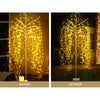Jingle Jollys Christmas Tree 2.1M 600 LED Trees With Lights Warm White Deals499