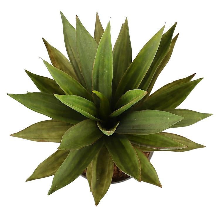 Artificial Dense Potted Aloe Vera Plant 50 cm Deals499