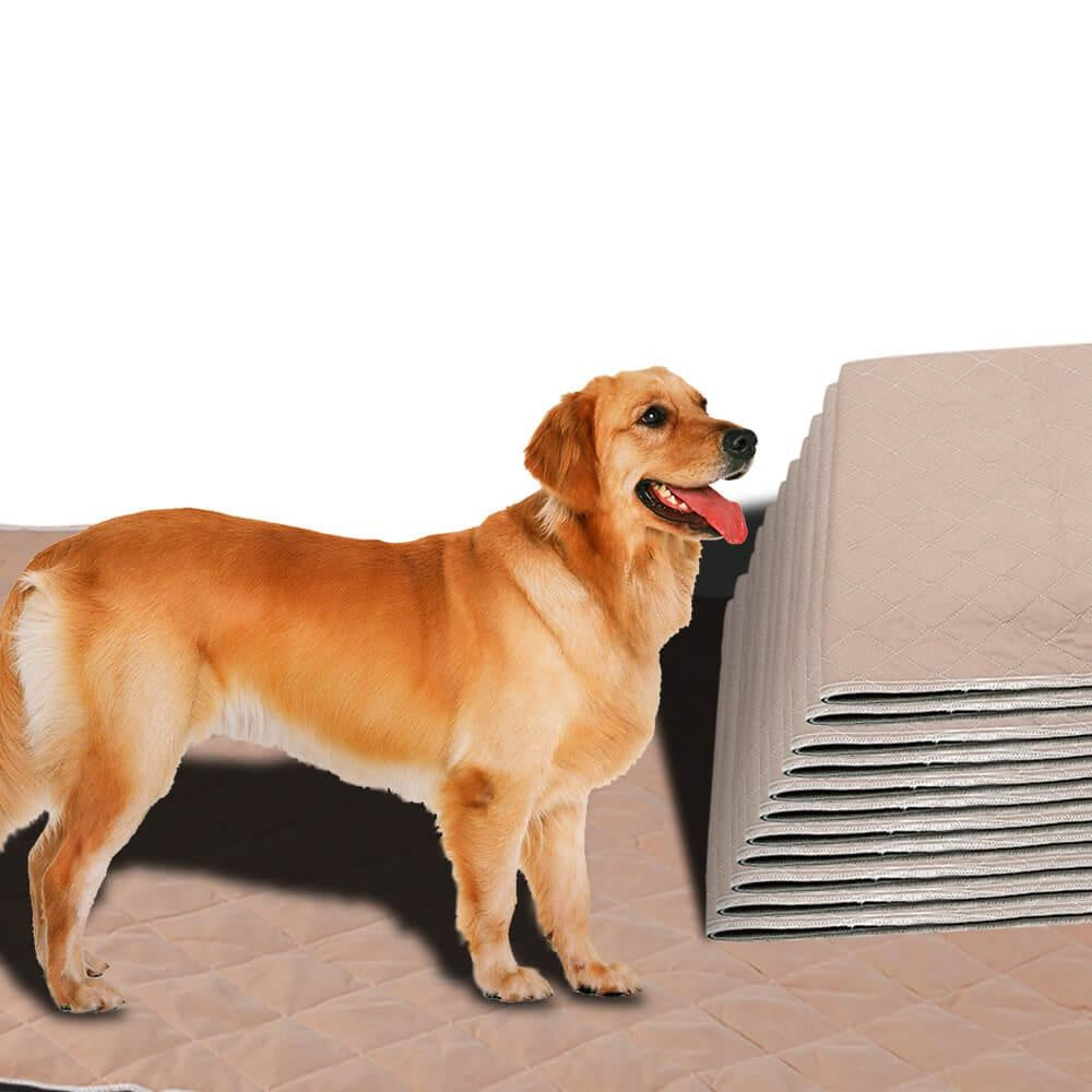 PaWz 2 Pcs 120x180 cm Reusable Waterproof Pet Puppy Toilet Training Pads Deals499