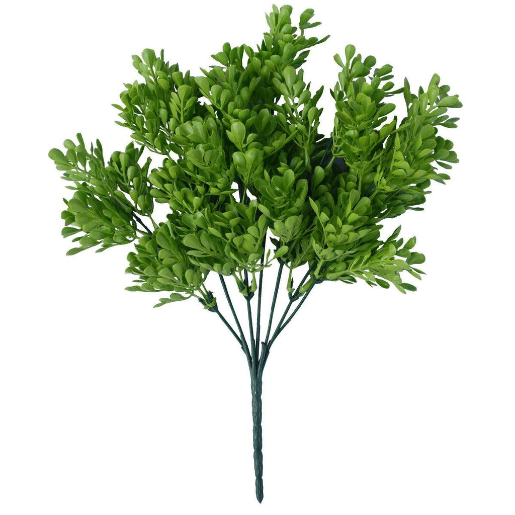 Vivid Green Wide Eucalypts Plant 32cm UV Resistant Deals499