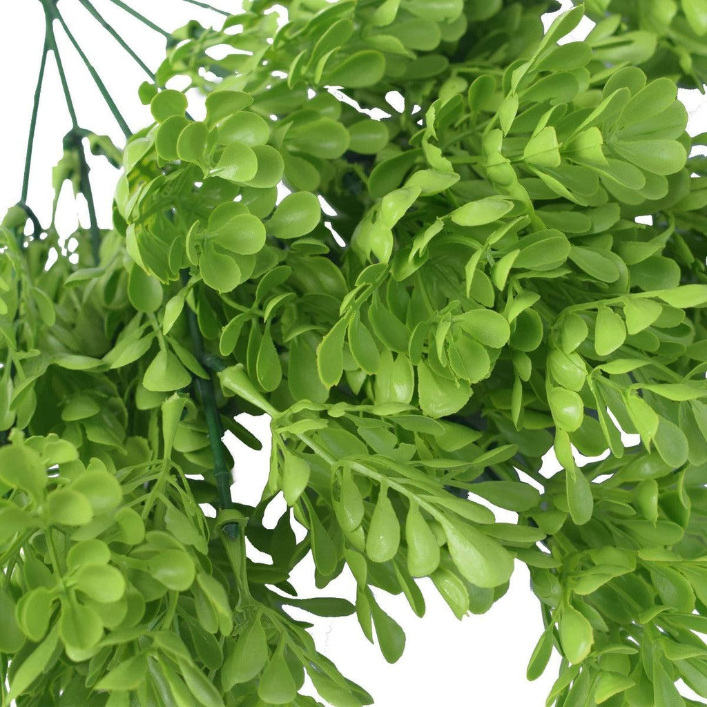 Vivid Green Wide Eucalypts Plant 32cm UV Resistant Deals499