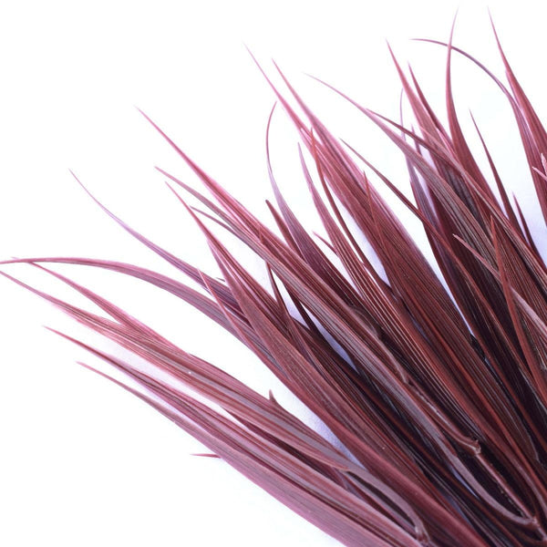 Dark Red Artificial Grass Stem 35cm Long UV Resistant Deals499