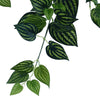 Bright Mixed Philodendron Garland Bush 100cm Deals499