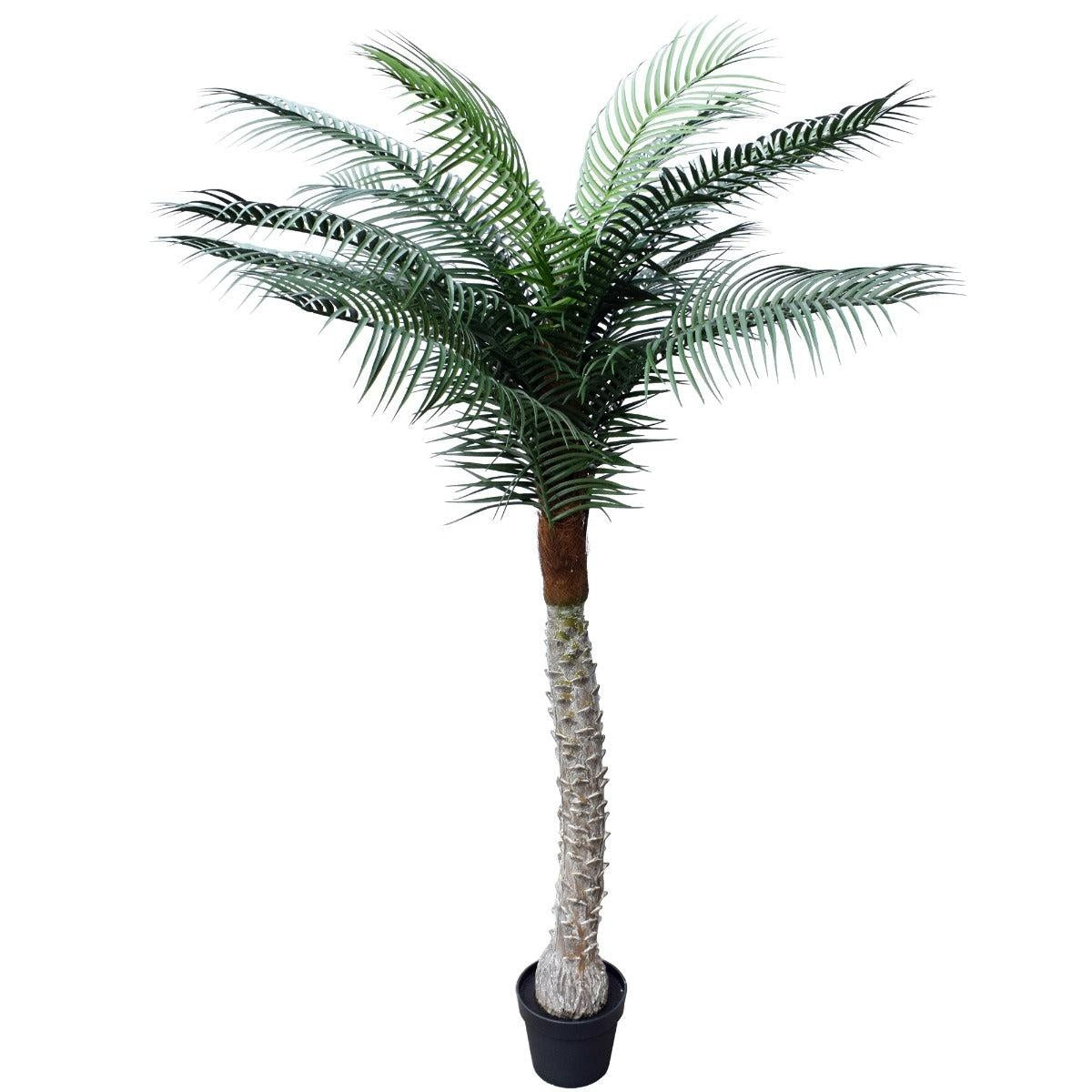 Tropical Phoenix Palm Tree 170cm UV Resistant Deals499