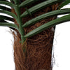 Tropical Phoenix Palm Tree 170cm UV Resistant Deals499