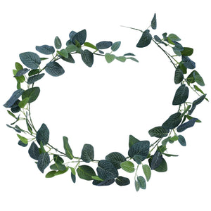 Artificial Fittonia Garland 190cm Deals499