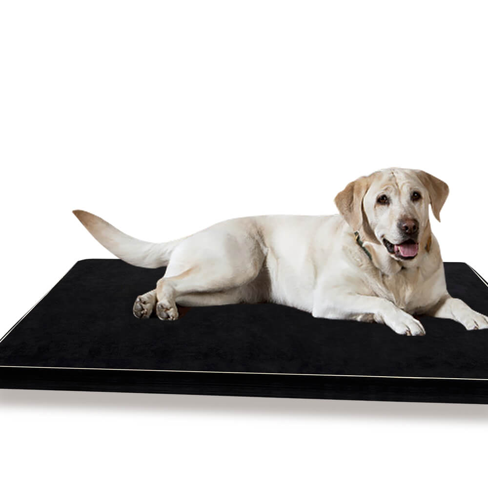 PaWz Pet Bed Dog Beds Cushion Cover Mat Soft Calming Pillow Mat Puppy Bedding5cm Deals499