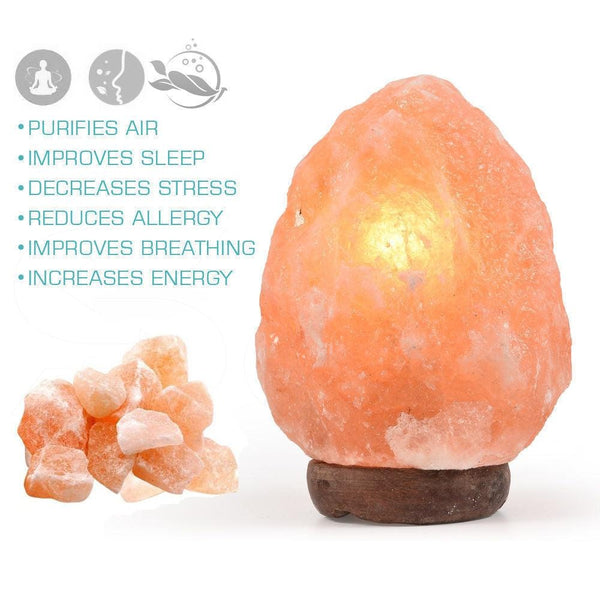 3-5 kg Himalayan Salt Lamp Rock Crystal Natural Light Dimmer Switch Cord Globes Deals499