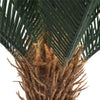 Artificial Cyac (Cycad) Plant 60cm Deals499