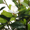 Faux White Flowering Magnolia Tree with Pot 130cm Deals499