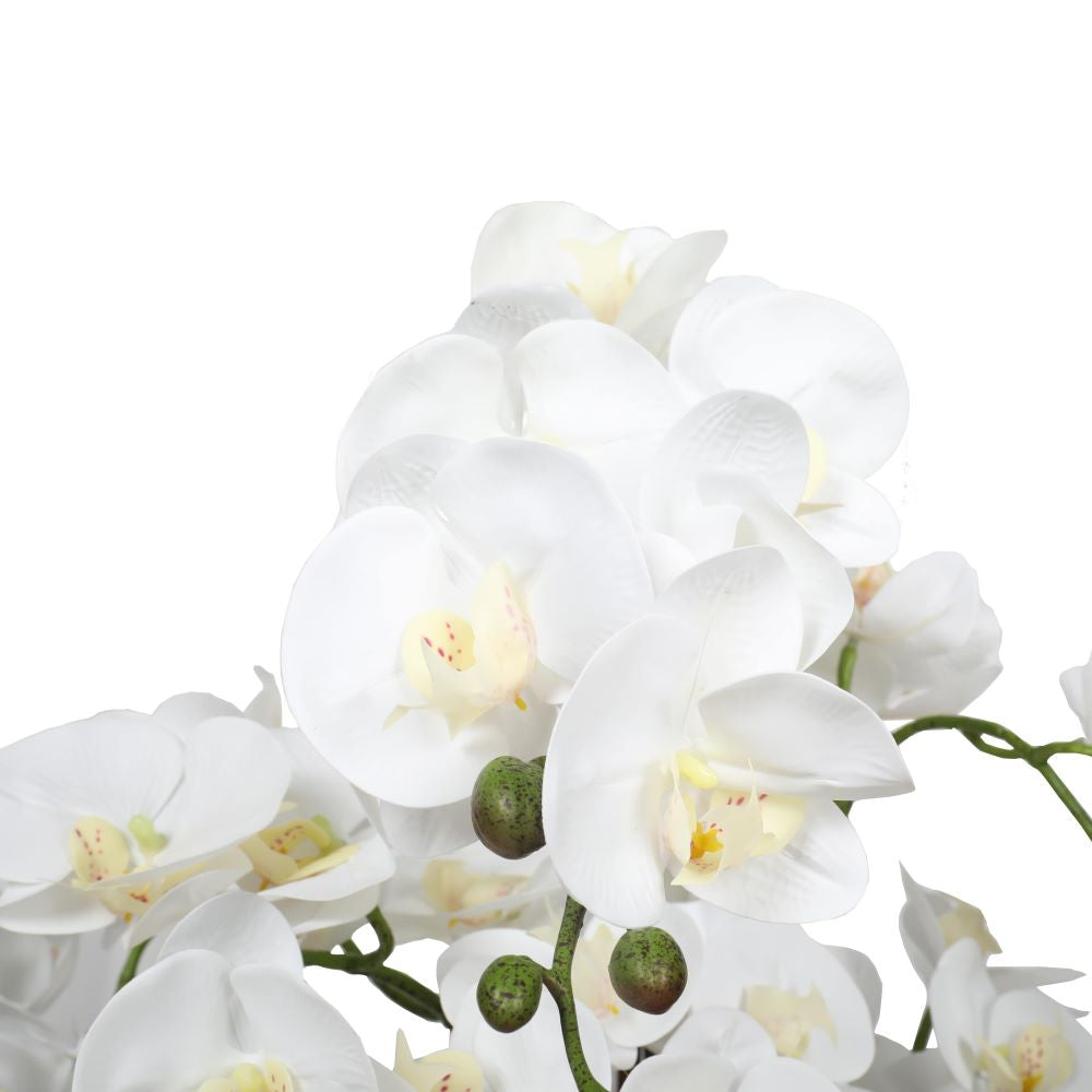 Large Multi-Stem White Potted Faux Orchid 65cm Deals499