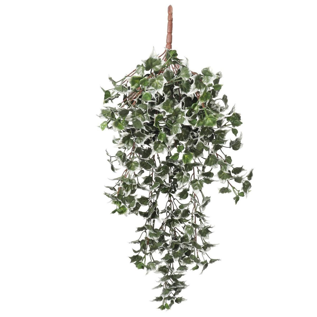 Mixed Green and White Tipped Ivy Bush 80cm UV Resistant Deals499