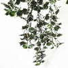 Mixed Green and White Tipped Ivy Bush 80cm UV Resistant Deals499