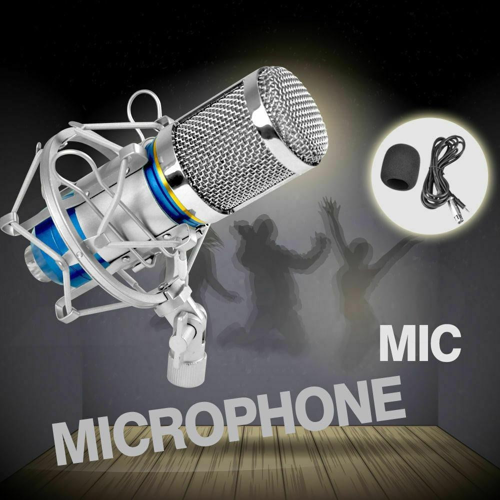 Karaoke Condenser Studio Dynamic Microphone Speaker Handheld KTV Q9 Player Deals499